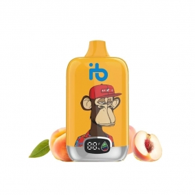 Őszibaracklé Eldobható E-Cigi | 12.000 Szívás | Frissítő Barack Íz